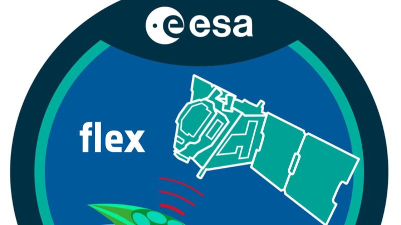 ESA FLEX Logo